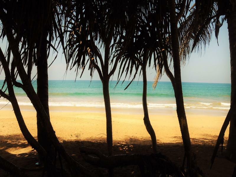 Serendib Beach Hotel Bentota Ngoại thất bức ảnh