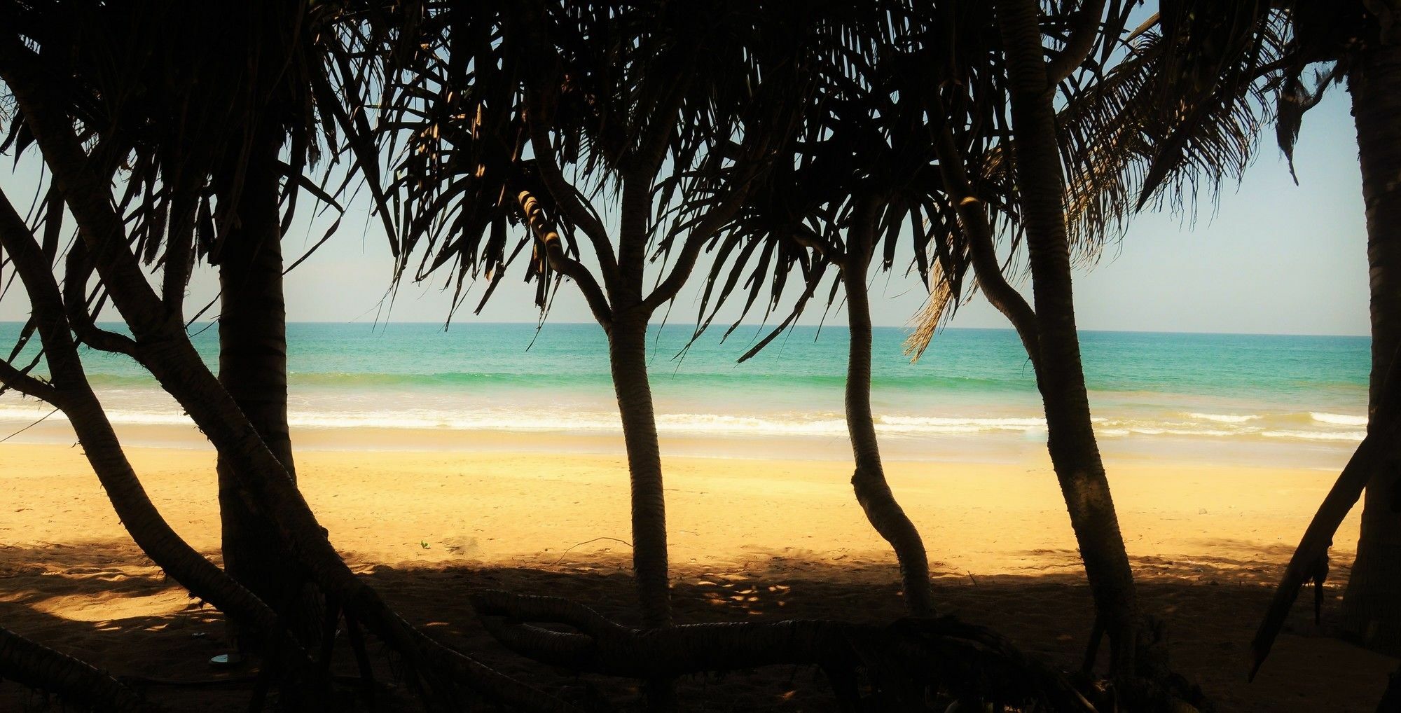 Serendib Beach Hotel Bentota Ngoại thất bức ảnh
